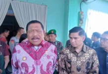 Pemprov Bengkulu Instruksikan Kabupaten/kota Tidak Lakukan PHK PPPK