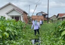 Sekcam Oscar Tinjau Tiga Titik Banjir, Tegaskan Komitmen Pelayanan Cepat ke Warga