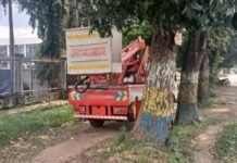 Sinergi di Jalan Mayor Zen, Langkah Lurah Sungaiselayur Amankan Jalur dari Ancaman Pohon Tua