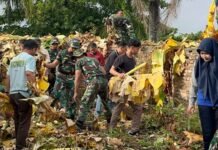 Karya Bakti Gerakan Indonesia Asri di BKB, TNI dan Pemkot Palembang Bersihkan Kawasan Ikon Kota