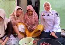 Inovasi Berbasis Kearifan Lokal, Camat SU II Kawal Standardisasi Budaya Selendang Muzawaroh