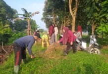 Semangat Jumat Bersih, Lurah Karyajaya Wujudkan Lingkungan Sehat dan Nyaman