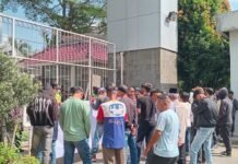 LSM Desak Kejati Sumsel Selidiki Dugaan Korupsi Kegiatan Pertanian Sumsel Terutama Dinas Pertanian Tanaman Pangan dan Holtikultura Provinsi Sumsel Terkait Proyek Olah Lahan di Palembang