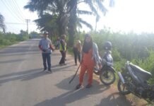 Karyajaya Berbenah, Sinergi Lurah Deo Ledy Vera dan Warga RT 029 RW 010 dalam Giat Jum’at Bersih