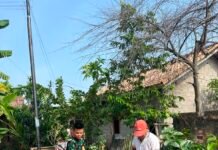 Tahap Finishing RTLH Parja Dipacu, Satgas TMMD Kodim 0418/Palembang Pasang Plafon dan Rapikan Teras