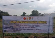Lahan Ketahanan Pangan Terpadu TMMD Kodim 0418/Palembang Didorong Jadi Penguat Swasembada Pangan