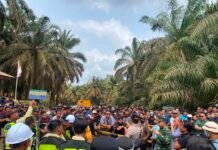 PT TDM Diduga Mobilisasi Ratusan Massa untuk Halangi Aksi Damai Terkait Pencemaran Lingkungan, POSE RI Bakal Tempuh Jalur Hukum