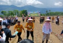 Lahan Tidur Jadi Kebun Kedelai, Bupati Lebong Ajak ASN dan Warga Bergerak