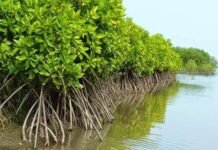 Prolog: Pendekatan Hibrida AHY Perkuat Keberlanjutan Pembangunan Giant Sea Wall