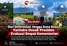 Deforestasi Meningkat, Yarindra Desak Evaluasi Kabinet